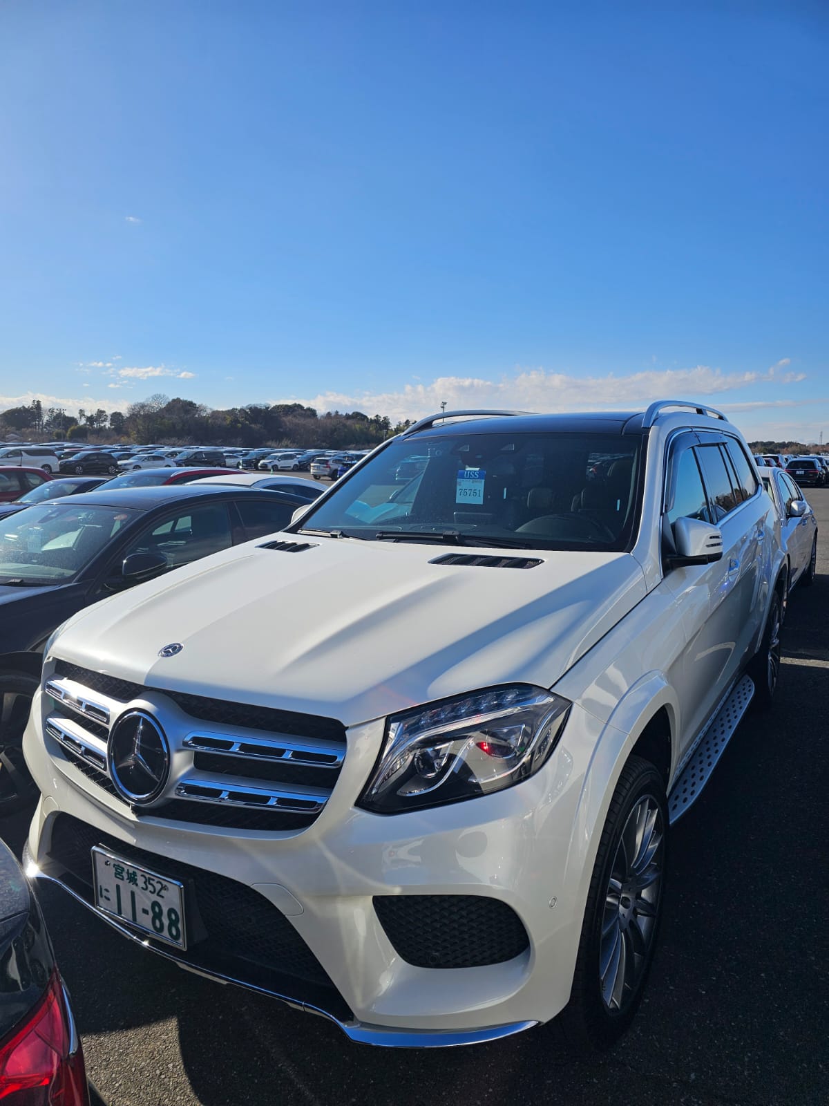 Mercedes-Benz GLS 500 (GLS 550) 4-Matic AMG Line